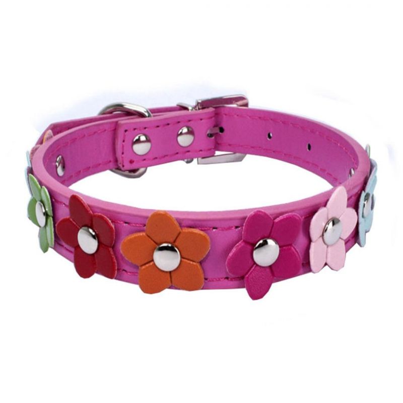 Charming Dog Collar with Beautiful Flowers Design