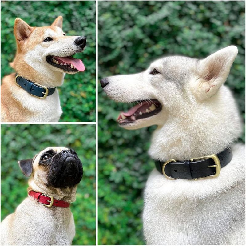100% Waterproof & Odor Proof Dog Collar with Customized Colors