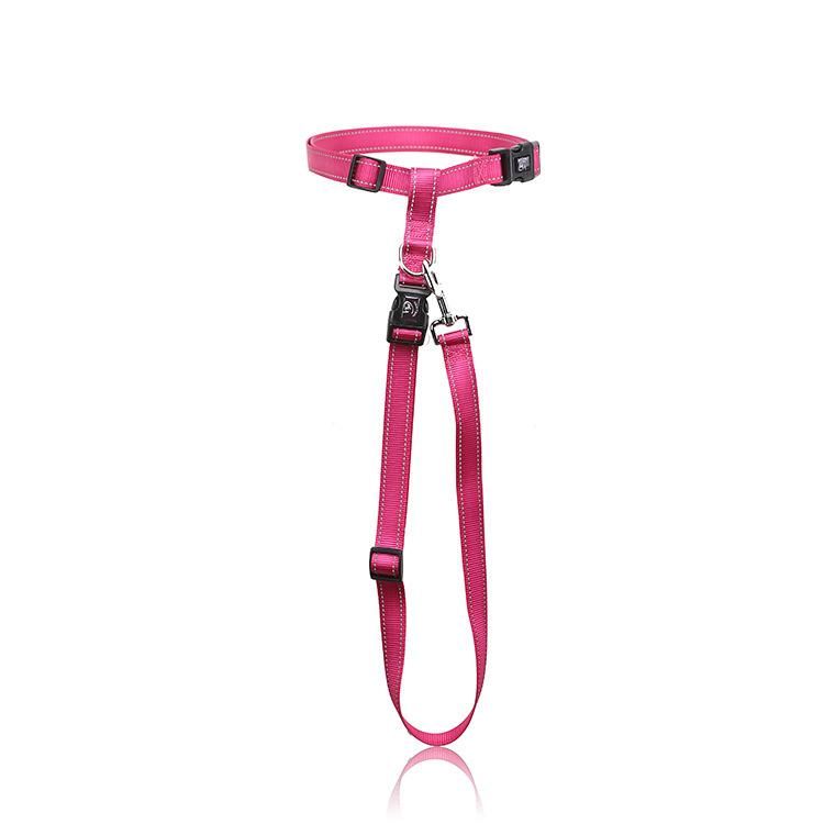 Muti-Color Pet Product Hiking Running Pet Dog Leash Weave Pet Accessories