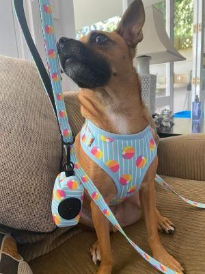Amazon Hot Selling Best Cute Dog Collar Leather Dog Harness Vest Designer Dog Harness Set/Pet Toy