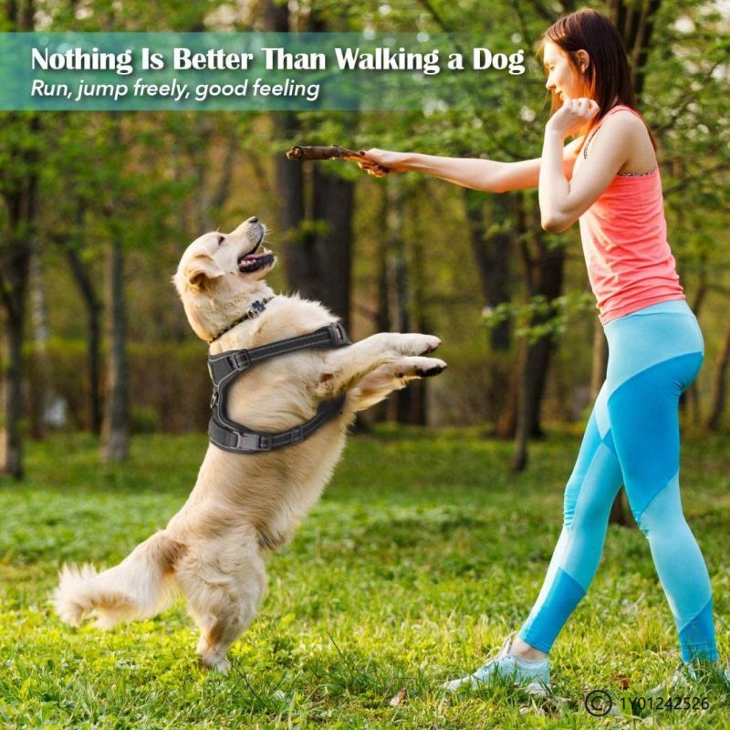 Comfortable Harness with Handle Outdoor Pet Vest