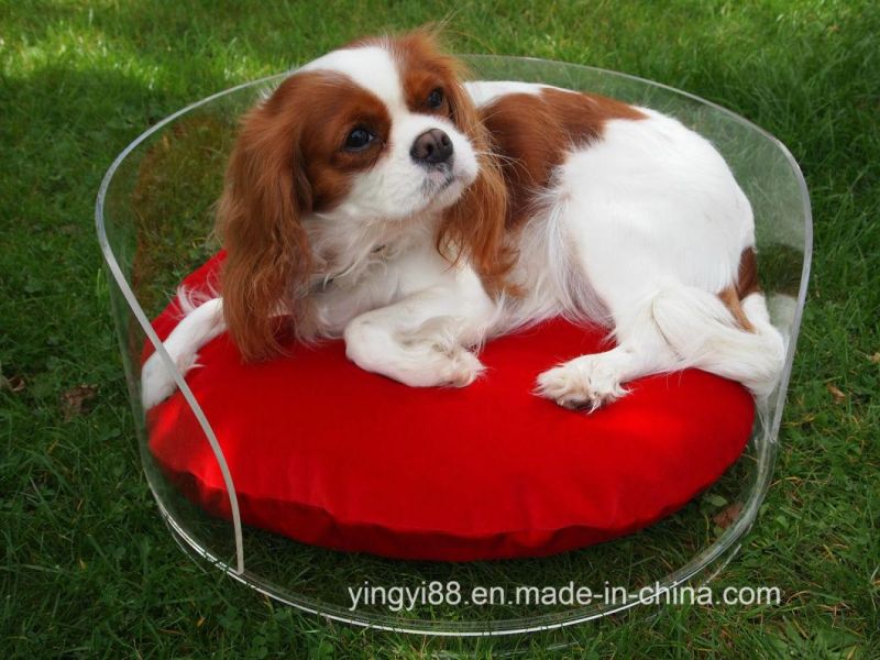 Square Dog Sofa Bed Acrylic Pet Bed Yyb-0313