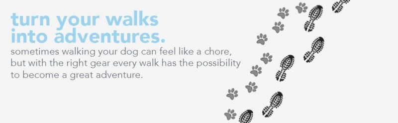 7FT Portable Pet Walking Leash for Small Pet up to 22lbs with One Button Break & Lock