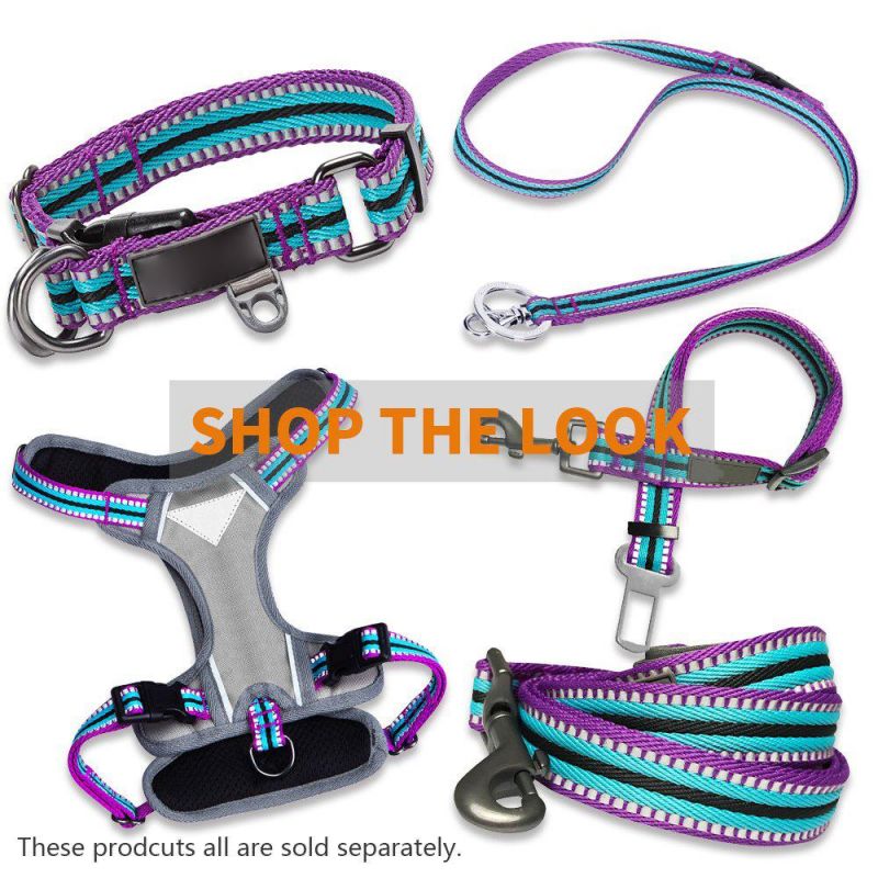 3m Reflective Multi-Colored Dog Leash Soft Polyester Webbing Pet Leashes