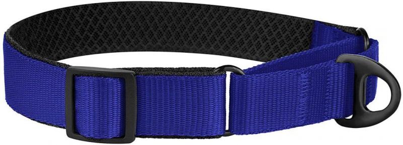 Soft Padded Comfortable Nylon Martingale Dog Collar