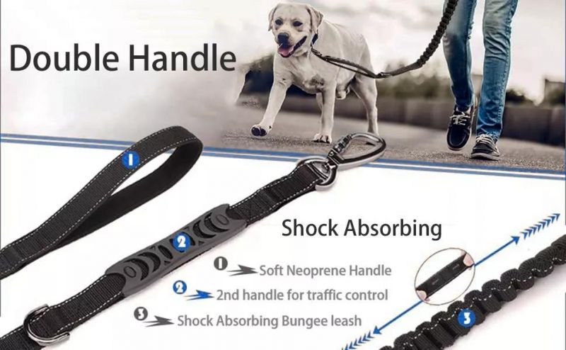 Hot Selling Pet Leash Dog Leads Can Be Used as Dog Seat Belt