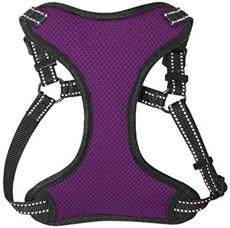 Soft Mesh Step in Dog Harness with Multiple Colors