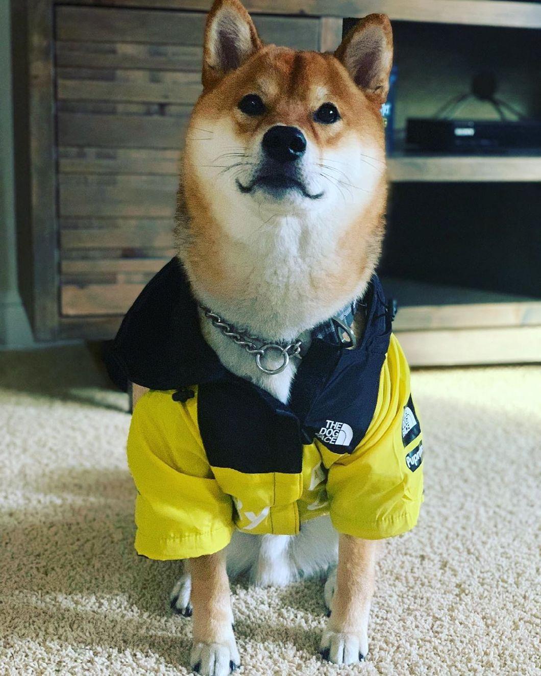 Fashion Windproof Rainproof, Polyester Keep Warm Small Medium Large Dog Raincoats
