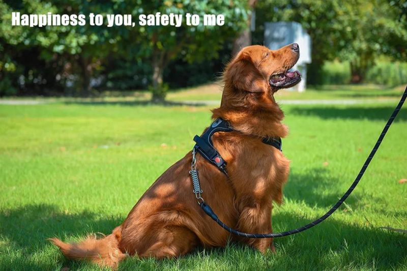 Cotton Mesh Breathable Dog Vest Dog Harness Pet Clothes with Leash