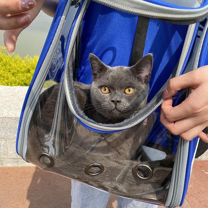 Wholesale Outdoor Dog Products Transparent PVC Cat Carrier Backpack Breathable Portable