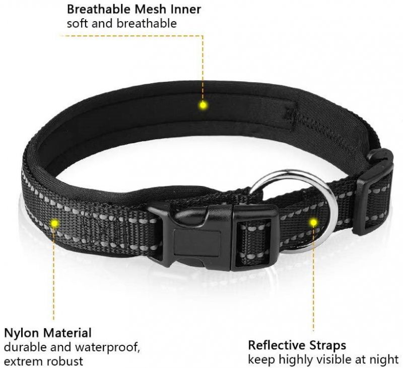 Soft Neoprene Padded Breathable Nylon Pet Collar