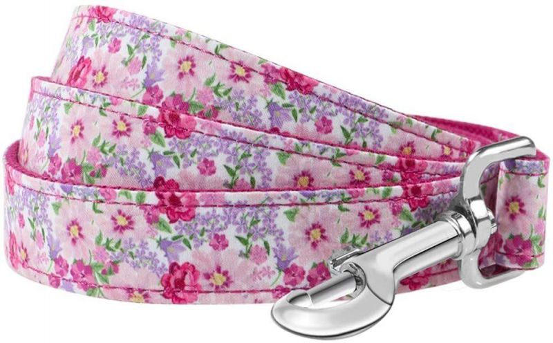 Super Adorable Prints Heavy Duty Dog Leash, Strong Western Leashes
