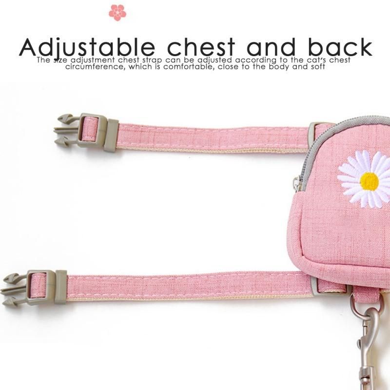 Blue Color Multi-Function Self Carrier Cats Dogs Pet Backpack Leash Harness Set