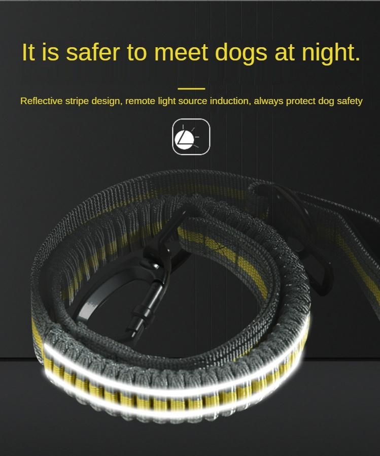 Outdoor Fluorescent Elastic Pet Explosion-Proof Leash for Medium and Large Dogs