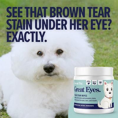 Biokleen OEM Custom Puppy Vitamin E Private Label Soft Pet Grooming Wipes Ear Eye Organic Pet Paw Wipes