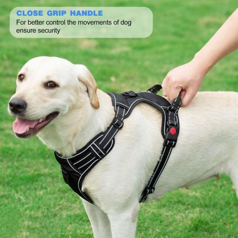 No-Pull Pet Harness with a Matching Dog Leash