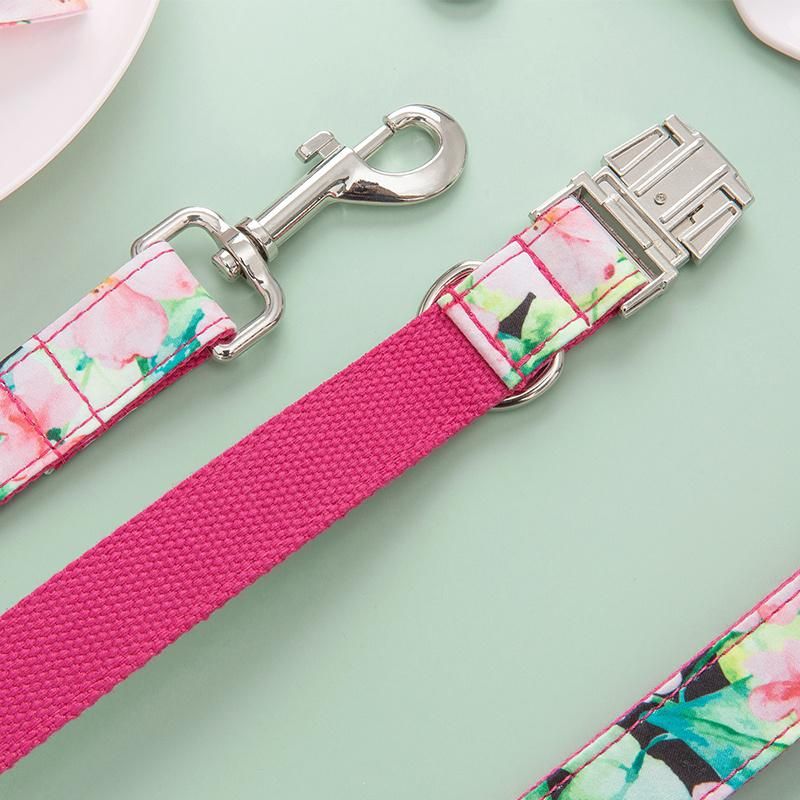 Pet Supplies Luxury Quality Beautiful Unique Adjustable Pet Collar