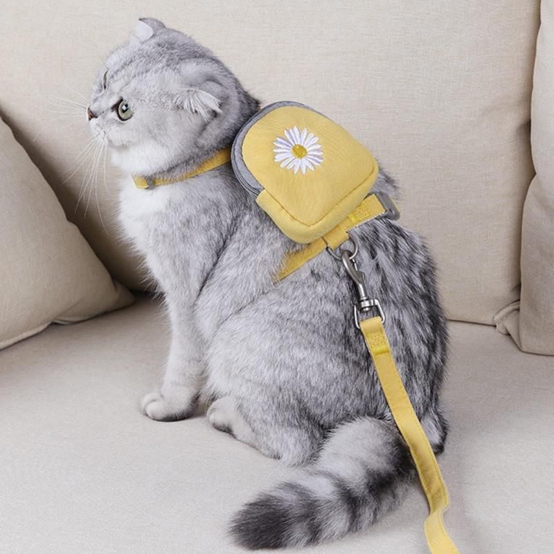 Blue Color Multi-Function Self Carrier Cats Dogs Pet Backpack Leash Harness Set