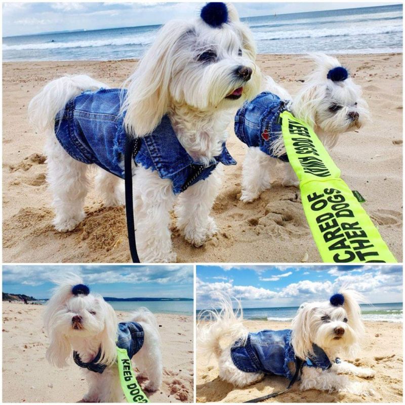 Classic Small Medium Pet Puppy Clothes Dog Denim Vest Pet Jeans Fashion Pet Apparel