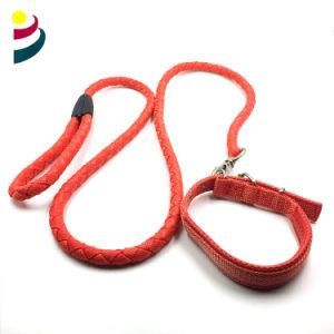 Bright Red Dog Leashes and Collar Ribbons Wovven Belt