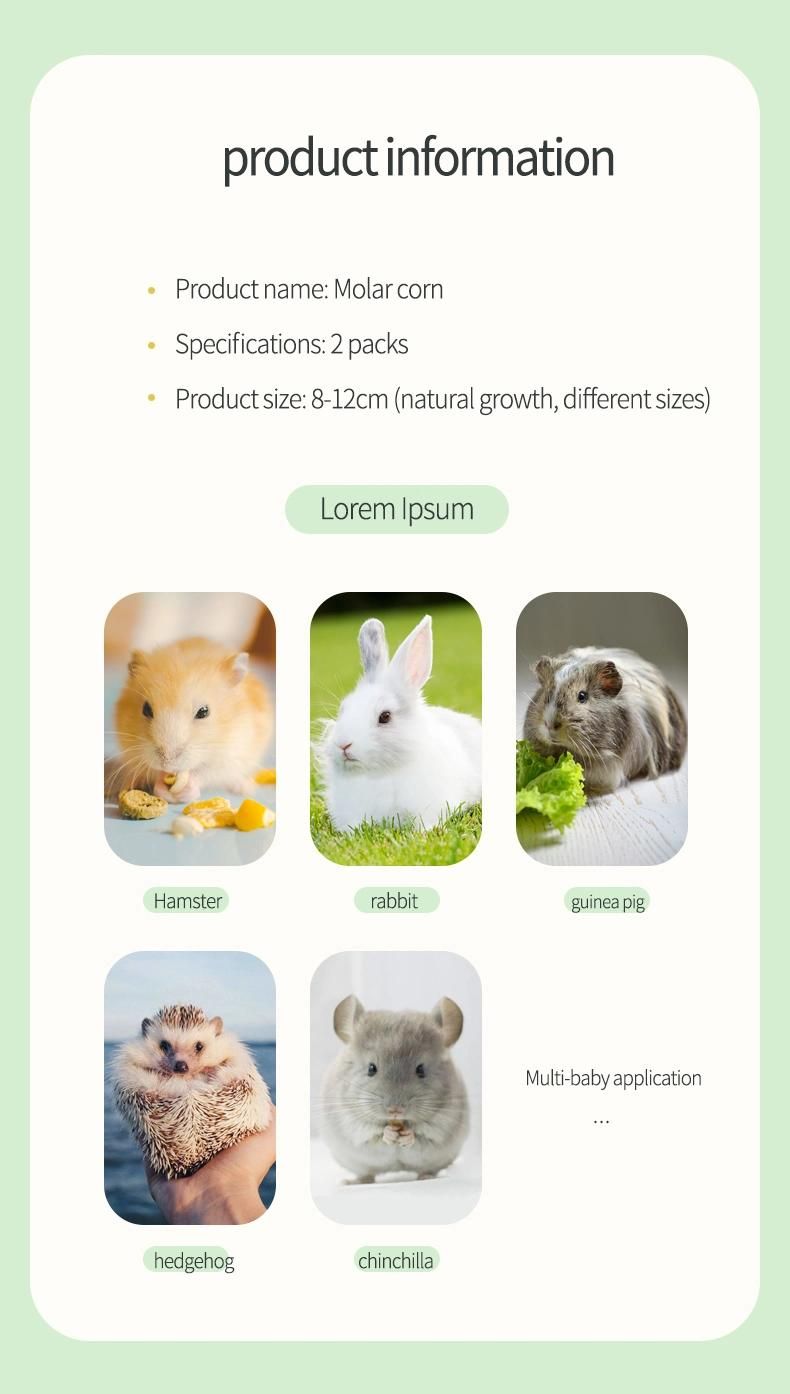 Yee Nature Corn Snacks for Small Pet Hamster Molar Snacks Pet Healthy Food