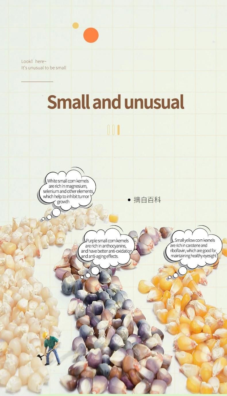 Yee Nature Corn Snacks for Small Pet Hamster Molar Snacks Pet Healthy Food