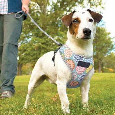 Pet Supplier Printing Design Breathable Reversible Soft Mesh Dog Harness with Outdoor