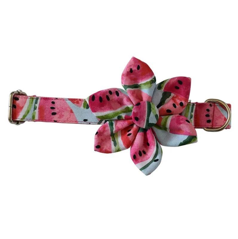 Summer Style Watermellon Dog Collar with Floral