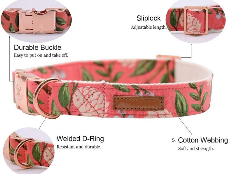 Custom Adjustable Dog Collar with Bow