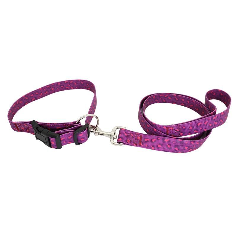 Pet Products Supply Dog Collars Trending Amazon New Custom Metal Buckle PVC Coated Webbing Dog Collar Leash Set