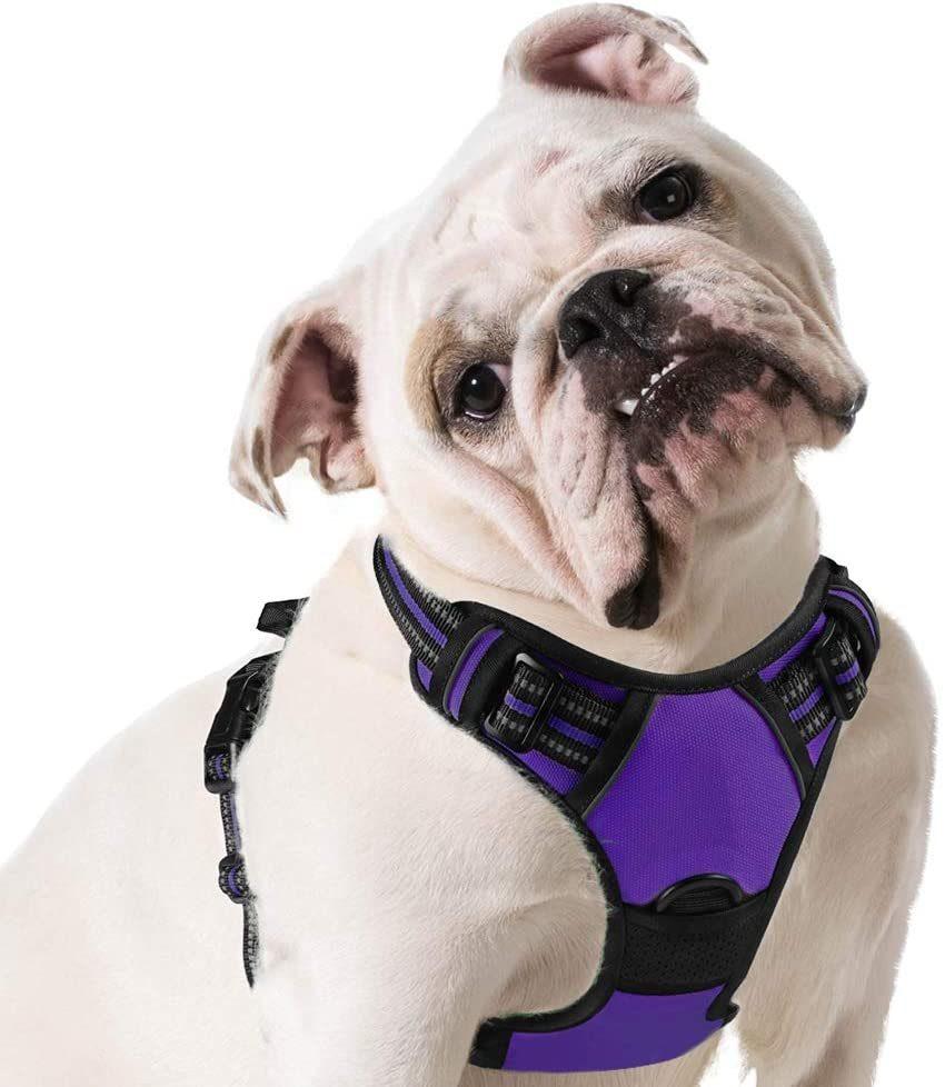 Custom Reflective No Pull Pet Dog Harness Breathable and Adjustable Pet Vest