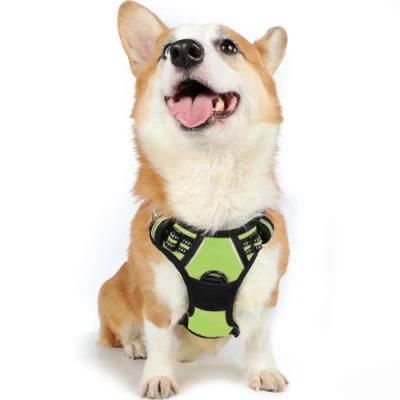 Best Outdoor Adventure Dog Harnessbest Outdoor Adventure Dog Harness