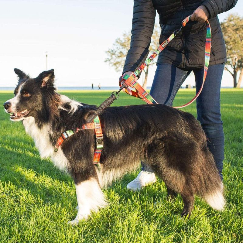 Bungee Handle Design Reflective Dog Harness