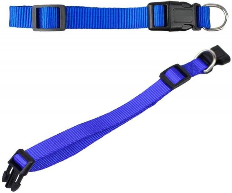 Adjustable Nylon Dog Collar with Classic Solid Colors