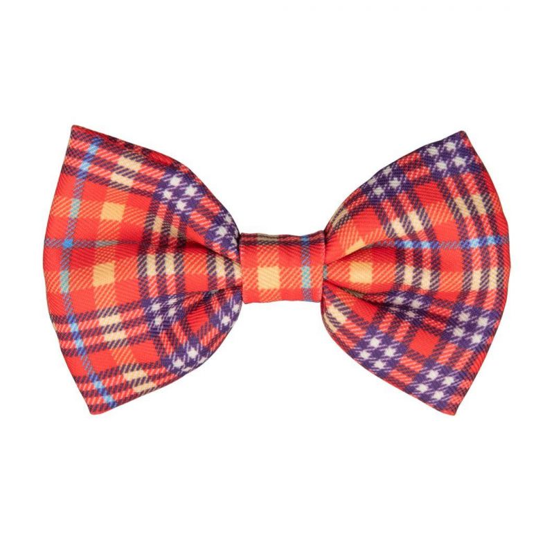 Special Style Pattern Fashion Pet Dog Collar and Cat Collar