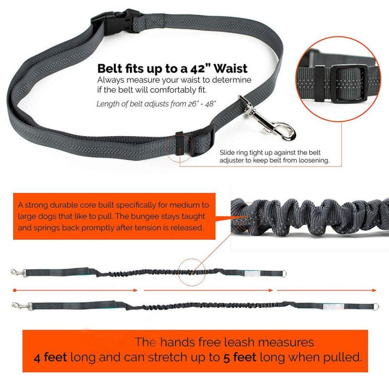 Hand-off Dog Leash for Training, Walking, Jogging and Running