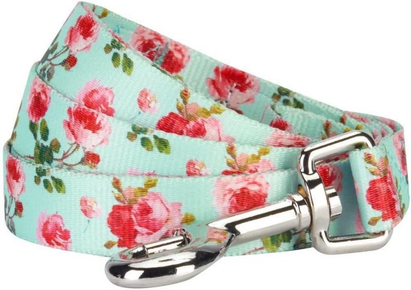 Strong with Comfortable Reflective Rope - Padded Handle Durable Dog Leash