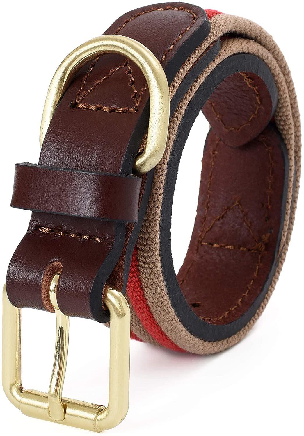 Dog Collar with Strong Soft Canvas Belt with Leather Tips and Zinc Alloy Rings