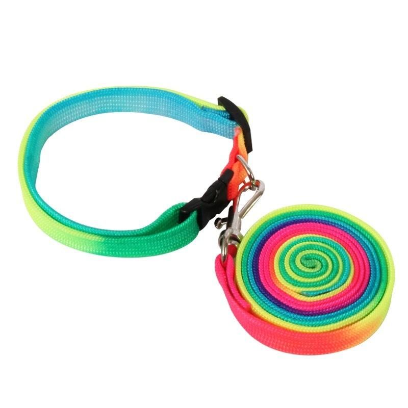 Rainbow Color Leash for Small Pet Teddy