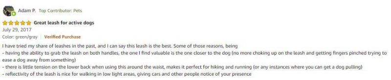 Strong Durable Shock-Absorbing Bungee Leash for Dogs Medium to Large