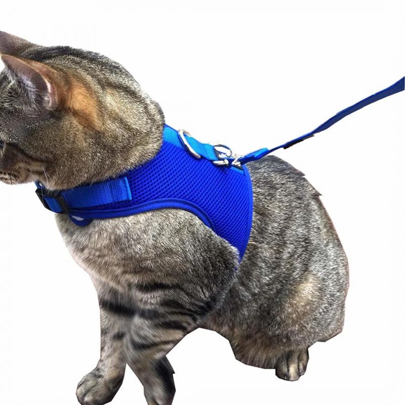 Pet Supply Best Cat Vest Harness and Leash Combo with Added Safety Features to Make It Escape Proof for Small, Medium, Large Cats and Small Dogs/Puppy