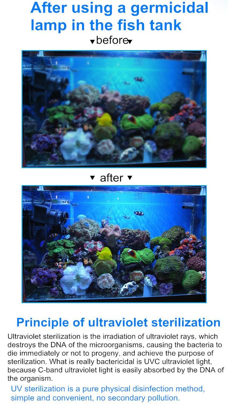 2022 Aquarium UV Light Submersible UV Lamp 30W 810mm UVC Sterilizing Bulb with Ballast for Fish Tank