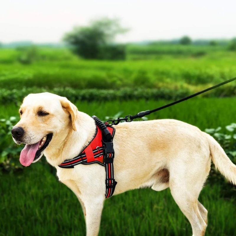 Dog Harness No-Pull Adjustable Dog Vest with Training Handle