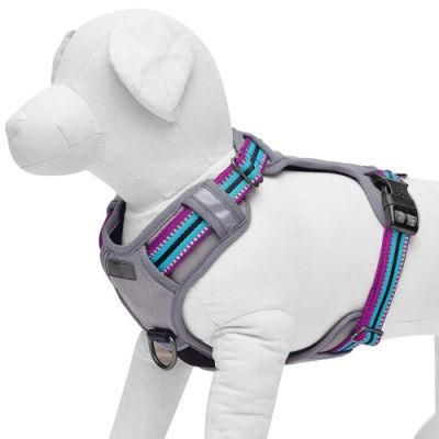 Safe &amp; Comfy 3m Reflective Multi-Colored Stripe Collection - Collars, Harnesses, Leashes