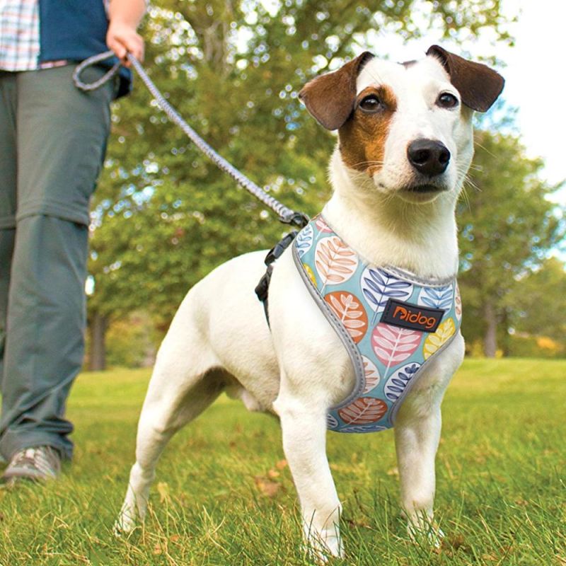 Training Exercise Handheld Guarantee Warranty Dog Vest