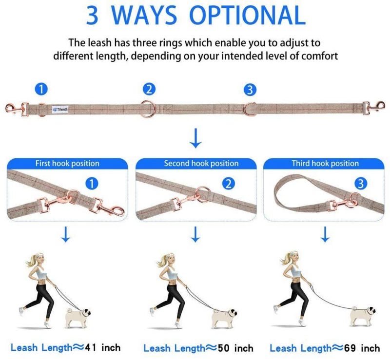 Dog Collar with Rose Gold 6 Foot Exceptionally Elegant Design and Adjustable in 3 Different Lengths Leash
