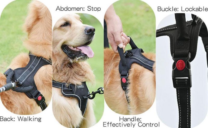 Adjustable Outdoor Adventure Dog Harness with 3m Reflective Oxford Material Easy Control Pet Vest with Handle and 2 Leash Attachments