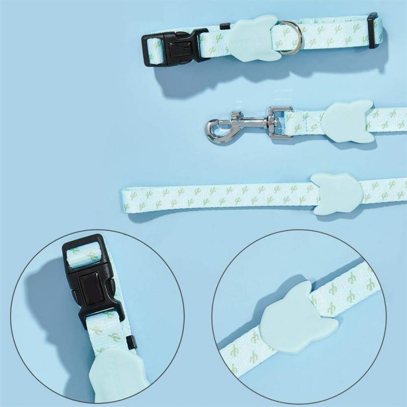 Dog Collar and Leash Set Adjustable Stylish Walking Puppy Collars Pet Leash