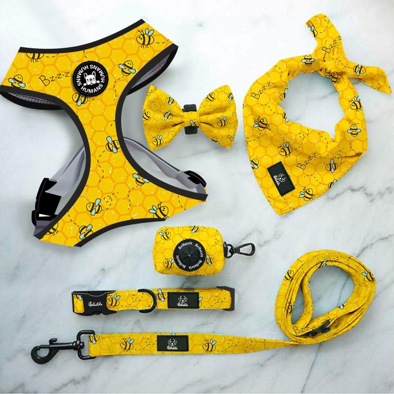 2021 Custom Logo Customized Pattern Pet Products Adjustable Soft Mesh Padded Reversible Dog Harness Set/Pet Accessories