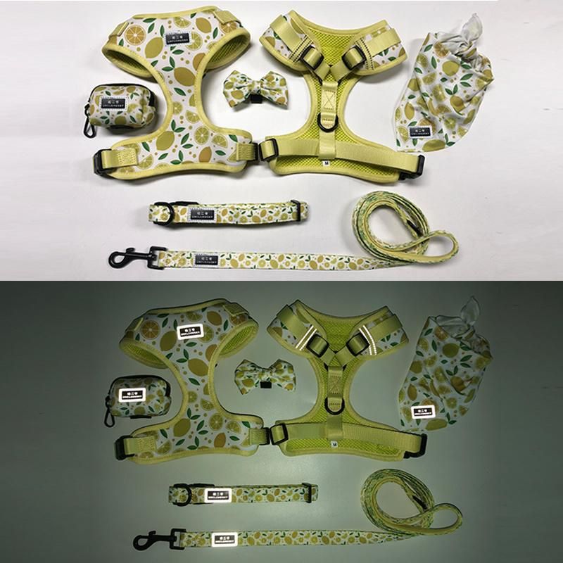 2021all Kinds of Full Sets Breathable Mesh Pet Dog Harness Running Training Pet Products